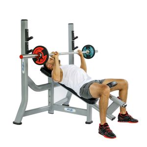 China Befreeman High Quality Gym Equipment Wholesale Hot Sale Incline Bench Pin Load Selection Machines on sale