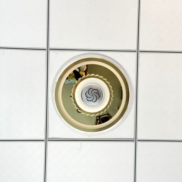 Quality DC12V 8KV Output Ionization Module with 20million ions/cc for Ceiling Light Air Purification wholesale