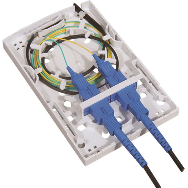 Quality 2 Port Fiber Face Plate IP45 FTTH Indoor Wall Mounted 2 Port FTTH Fiber Socket with adapter pigtail wholesale