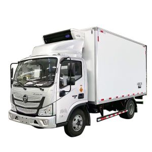 Cheap Small and Medium-sized Ice Cream Refrigerated Truck for Exporting from Foton Oma Cocoa -20°C Manual Transmission for sale