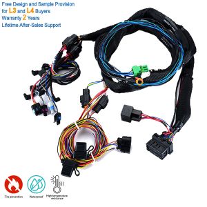China Wiring Harness Kits For Trucks And Automotive Engine Lpg Wiring Harnesses on sale