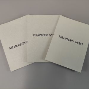 Custom Design Folded Instruction Booklet Different User Manual Printing