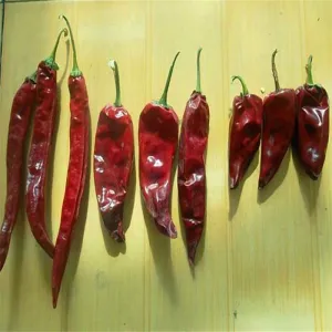 China Add a Kick to Your Dishes with Dried Spicy Peppers Essential Chili Ingredients on sale