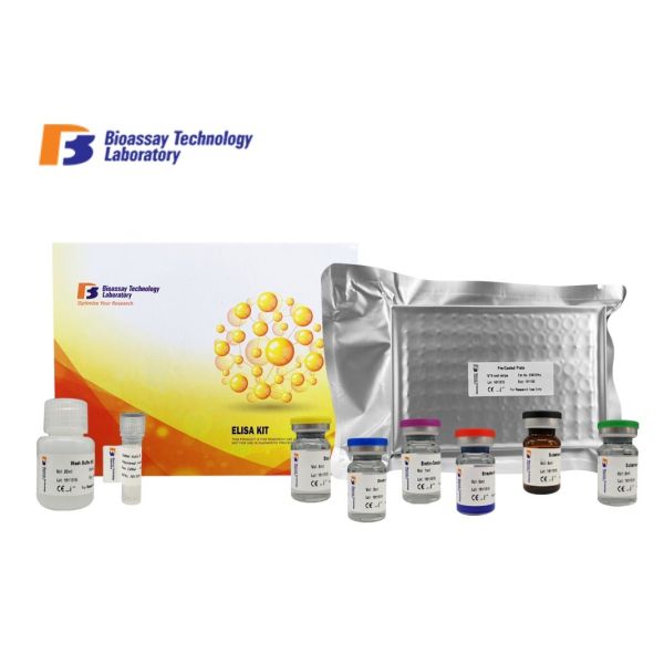 VACHT Elisa Immunoassay Kit / Vesicular Acetylcholine Transporter Elisa Sandwich