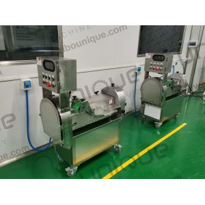 Multi-function Vegetable Cutter for Kitchen and Hotel Video Technical Support