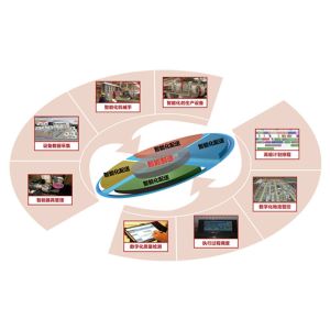 Cheap AGV RGV Logistics Software Systems OEM Intelligent Distribution System for sale