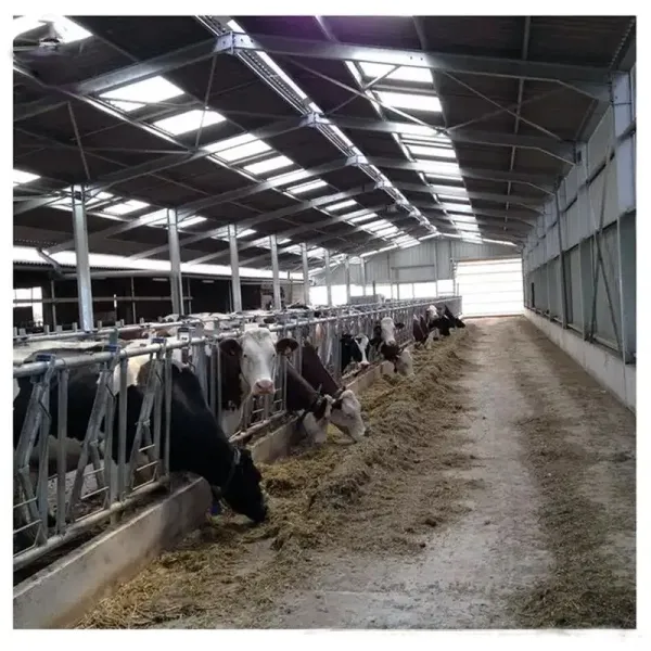 Prefabricated Light Steel Structure Dairy Cow Cattle Farm Shed Cow Shed