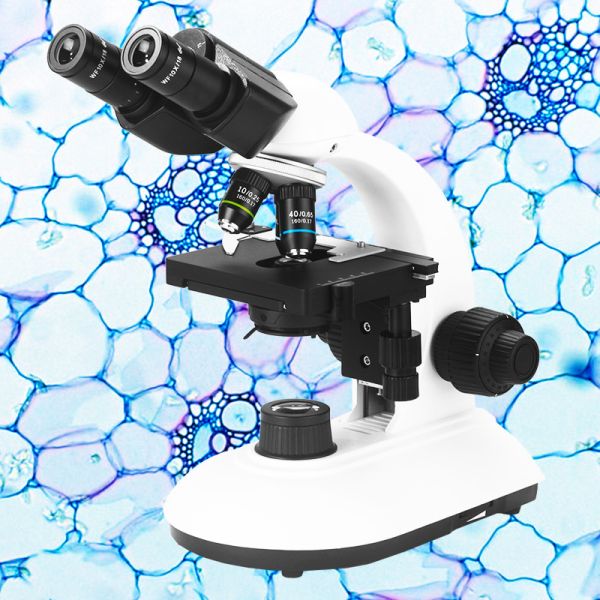 Binocular Optical School Student Microscope Monocular Trinocular Educational
