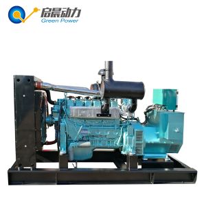 10-800KW Biogas Generator Set for Sale