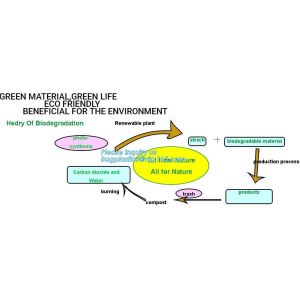 SUGARCANE CUPS PLATE BOWL CONTAINERS, ECO FRIENDLY BIOGERADABLE CULTERY, PLA