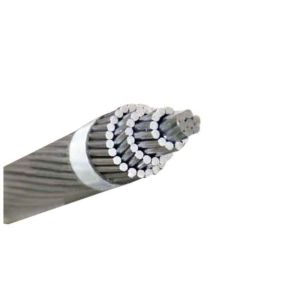 China Silver Color AAC All Aluminium Conductor Using In Transmission Lion on sale