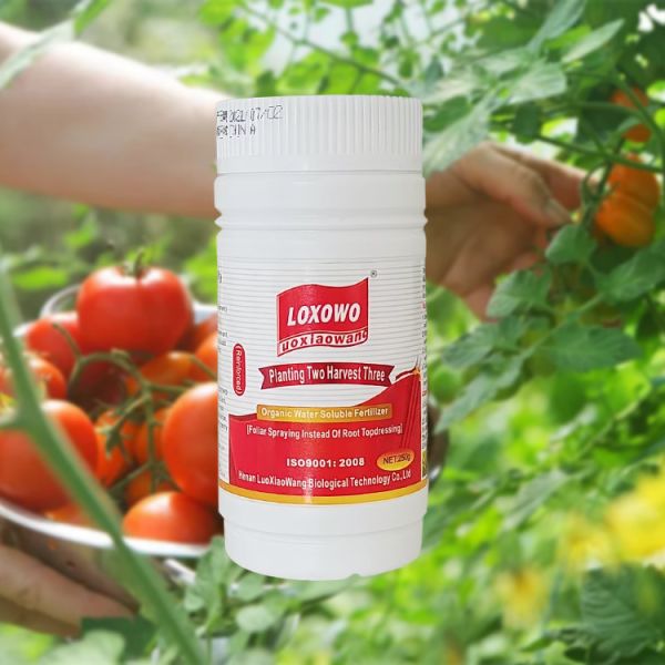 Roots Promoter Organic Npk Fertilizer Biostimulants Natural Liquid Seaweed