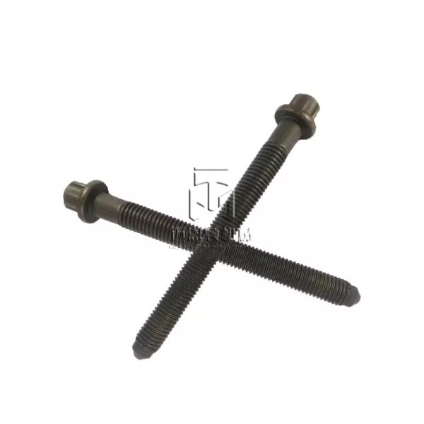 Cylinder Head Bolt 20080510139 04202005 0420 2005 4202005 11700334 040121101300