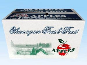 Best Designed And Best Quality Corrugated Carton Box For Vegetable And Fruits