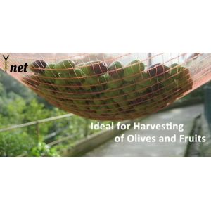 Green Olive Harvest Net 8x12m 8x14m Fruit Collection Net 90g