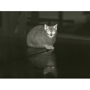 IP66 Digital Zoom 50Hz Thermal Night Vision Camera