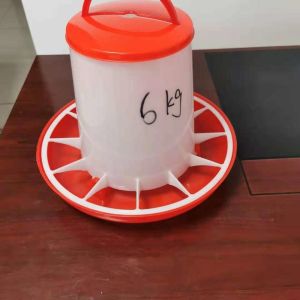 Bucket for feeding and drinking