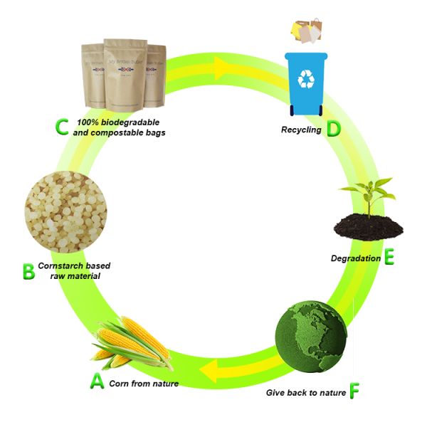 PLA Biodegradable Packaging Bags