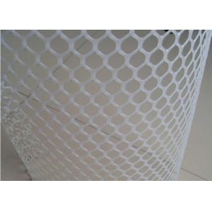 30x30mm White Flat Hdpe 500g/M2 Per Sqm Plastic Netting Mesh