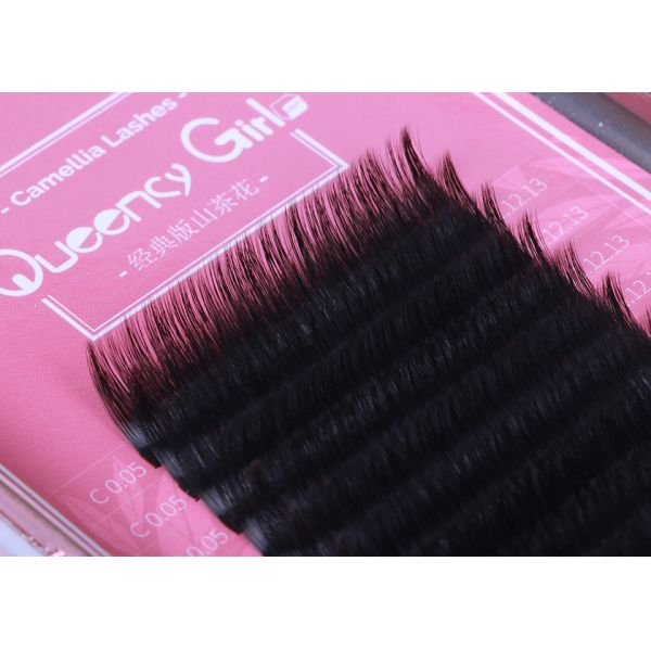 Volume 3D Eyelash Extensions PBT Material 0.05mm Thickness Private Label