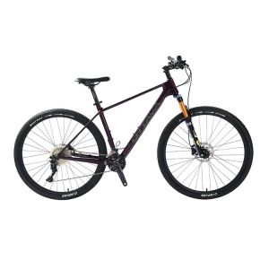 China 29 Carbon Fiber Mountain Bike with  Shimano 22s deore parts Customizable on sale