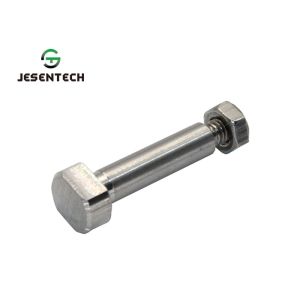 Injection Mold Use 304 316 Stainless Steel Fasteners With Nut Accessory