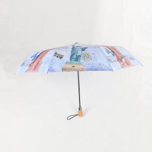 3 Folding Automatic Closing Umbrella, Digital Printing Compact Umbrella Auto
