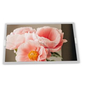 SP14Q006 320*240 Resolution 5.7-Inch WLED TFT WLED LCD Display Module