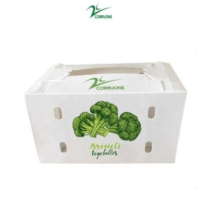 Correx Fruit Box PP Corrugated Plastic Box For Vegetable And Agriculture Packing