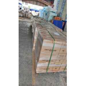 Baofeng BM-X6 Professional Waterproof Walkie Talkie with Noise Reduction