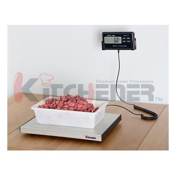 Quality Tare Function Stainless Digital Kitchen Scales Auto Shut Off With LCD Display wholesale