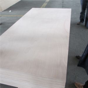 Llyods Certificate Phenolic WBP Glue 16mm Marine Okoume Plywood