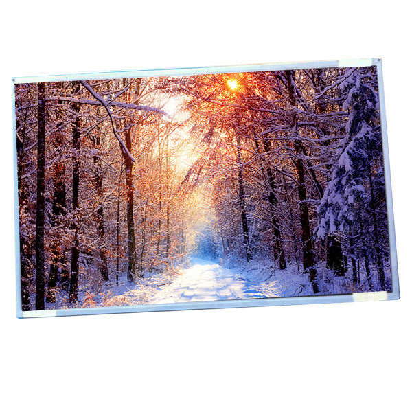 AUO display G220SW01 V0 22.0 inch IPS lcd wide screen with resolution 1680(RGB)