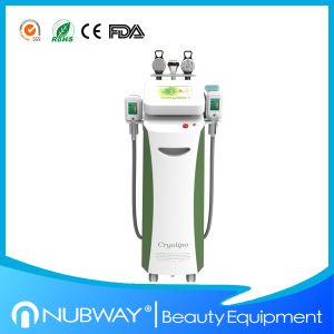 China Hottest 3 in 1 cryolipolysis slimming machine / cryolipolysis anti cellulite machine on sale