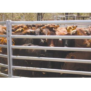 Galvanized Pipe Corral Sheep Cattle Panels Fence 1.8x2.1m