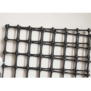 High Tensile Strength Plastic Geogrid Mesh Oem And Odm