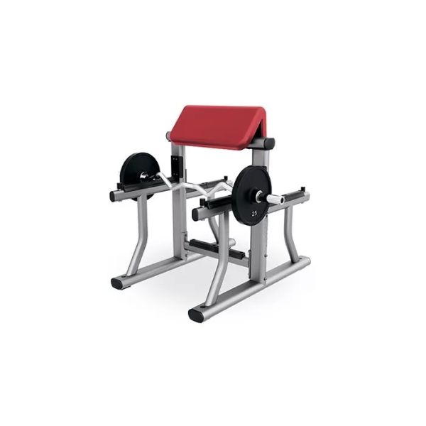Quality Small Gym Weight Bench Rack Home Workout Fitness Biceps Arm Curl Equipment wholesale
