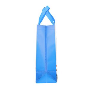 Shopping PP Biodegradable Non Woven Bag Shrink Resistant