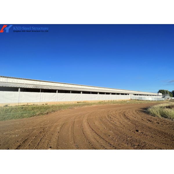 Quality Modern Piggery House Steel Structure Metal Cattle Shed Customized Dimension wholesale