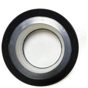 H13 Activated Carbon True HEPA Filter Set Compatible With Germ Guardian FLT4200