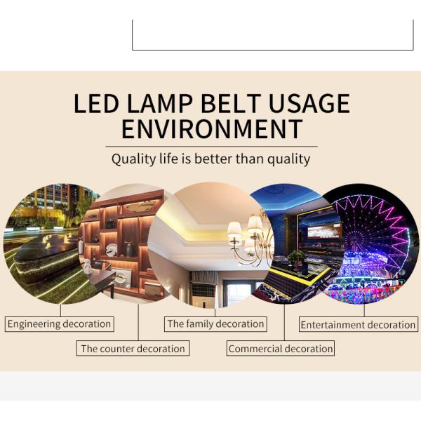 12W IP20 2200-6500K SMD 5050 LED Strip Light 3 Years Warranty