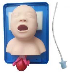 Neonate Intubation Cpr First Aid Manikins Medical Simulation Model