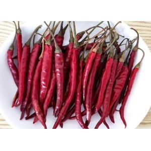S17 Dried Red Chile Peppers Stick Shape Whole Chilli Pods Spices