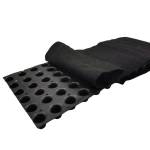 8mm HDPE PP Virgin Recycle Drainage Board for Building Underground Parking