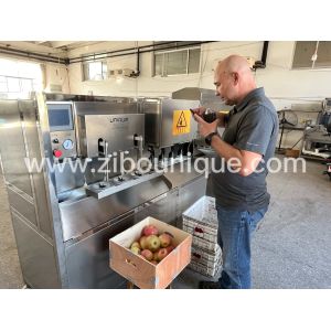 Stainless Steel 304 Electric Automatic Feuma Potato and Apple Peeler Machine for