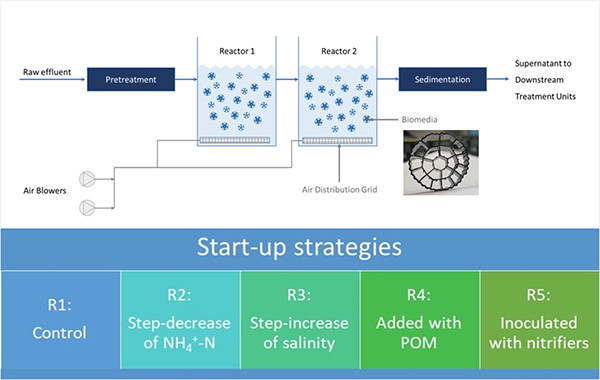 PE09 K1 K3 K5 K7 Moving Bed Bio Reactors Media MBBR Plastic Carrier
