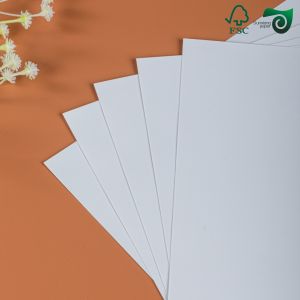 226μM Self Adhesive Sticker Paper White Glossy Waterproof Polypropylene
