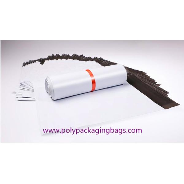 Quality Tear Resistant 6x10 Poly Bubble Envelope With Pressure Sensitive Glue wholesale