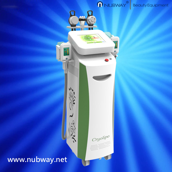 Quality Hottest sale!!! 5 handles multifunctional slimming cryolipolysis cool shaping equipment wholesale