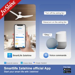 1stshine Fancy ABS Blades Ceiling Fan with Light and Remote 6000K Color